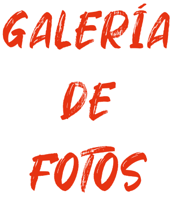 galeria de fotos
